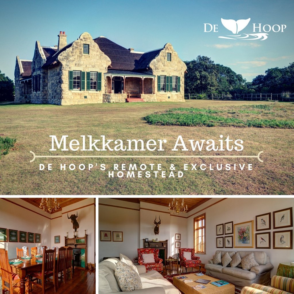 DeHoopReserve's tweet photo. Have you stayed in our Melkkamer Manor yet? We still have some availability around September, but you'd better BOOK NOW as we are filling up fast!

More: https://t.co/E5A2pX7lpU

#discoverdehoop #dehoopgetaway #remotegetaway #naturereserve #selfcatering #luxury https://t.co/0khrnhz19U