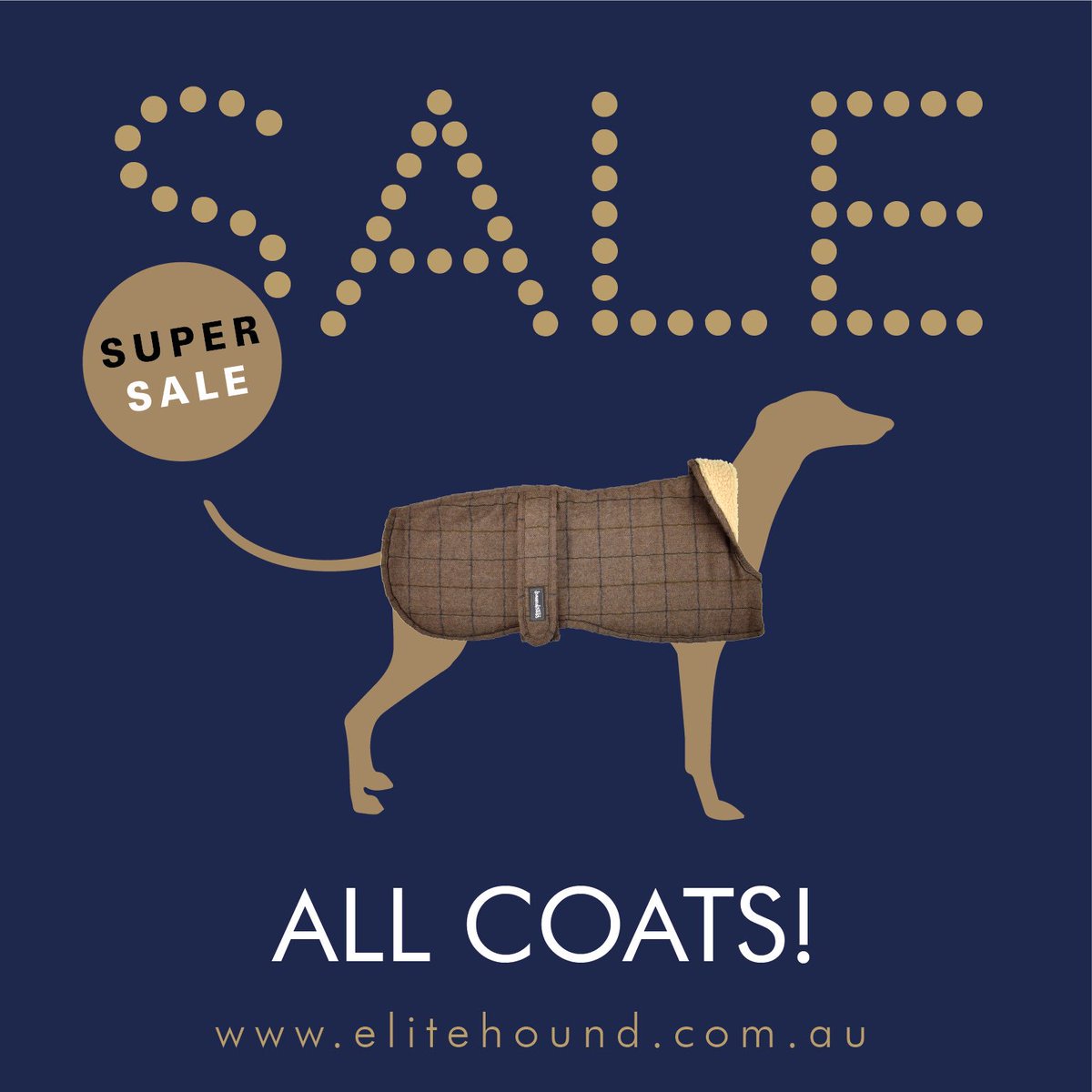 ElitehoundAus's tweet photo. Yas! The biggest online sale is on! https://t.co/2Gsh02IIa5 Has the best quality coats on the market, just for your beloved #greyhounds. Hurry! https://t.co/owJWaL2Dj5