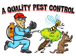 lkb6717's tweet photo. Looking for the a top PEST CONTROL provider ?
Look no futher.
INFINITE PEST SOLUTIONS is here.

CALL TODAY!
INSPECTIONS FREE 
CALL 223-IPSL(4775) OR 759-2946

Have a pest free day everyone.
#IPSTT1 https://t.co/y31PxiSkNp