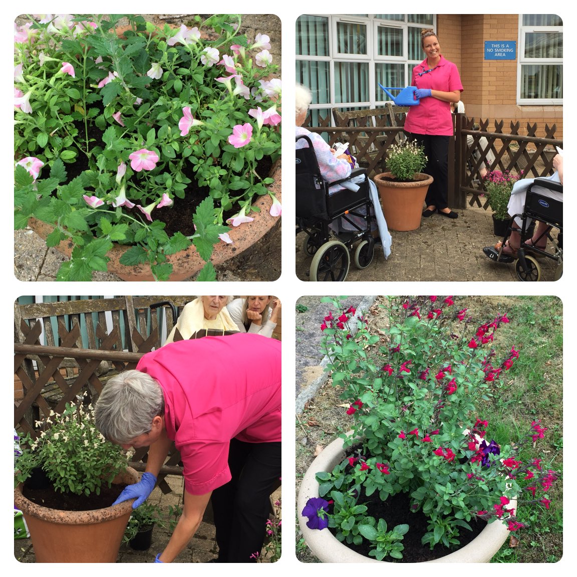 Planting is underway, under close supervision of the patients, they are reading labels and deciding what plant goes in which pot, great work so far 🌹 @LPTnhs @CHSInpatientLPT @LisaMarieMarti3 @borley_alyson @WyevaleGC