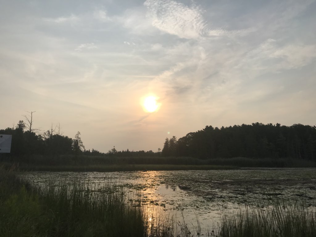JasonBarnucz's tweet photo. Good morning from a bog. πΎπΈπ #fisheries #science #research #monitoring #fieldwork #scifieldwork #greatlakes #fish #fishes #biodiversity #speciesatrisk #wetland #wetlands #bog #water #freshwater #greatlakes #lakehuron #fishareawesome #ilivetofish #fisharecool #workcabincanada https://t.co/qDsrk1Qi0J