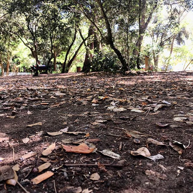 Entraining_'s tweet photo. .
“Si el plan no funciona, cambia el plan, pero no cambies la meta.” 🔝🔝
.
🔶🔷🔸🔹
.

#running #runner #runnersworld #runhappy #runforfun #run #instarunners #runningman #trailrunning #trailrunner #trailrun #training #correr #mountains #fitness #fit #… https://t.co/jNXhdcD1kC https://t.co/gbrA9JiucM