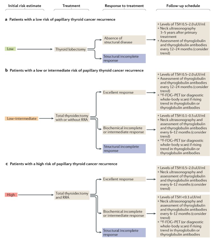 Martin Schlumberger and colleagues review the follow-up of differentiated #thyroid cancer – what should (and what should not) be done (£) go.nature.com/2LVgOZX #thyroidcancer #DTC