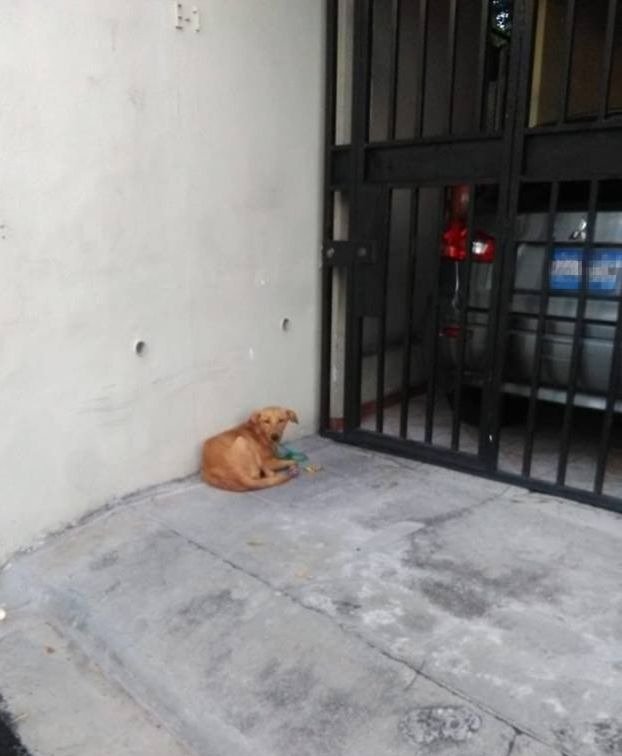 Fatima Velasco Twitter