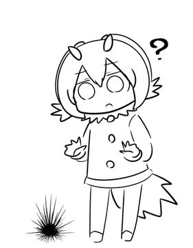 画像 / Picture