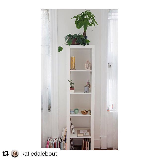 HolisticSpaces's tweet photo. My friend Katie’s awesome version of an altar #sacredspaces
. . .
#Repost @katiedalebout
・・・
🌿 everything on this shelf was given to me by a friend & I like. highly recommended it. I stare at it all the time. it helps. 〰️#holisticspaces 〰️#fengsh… https://t.co/gSE2ydbXYA https://t.co/Q8EIFeGZru