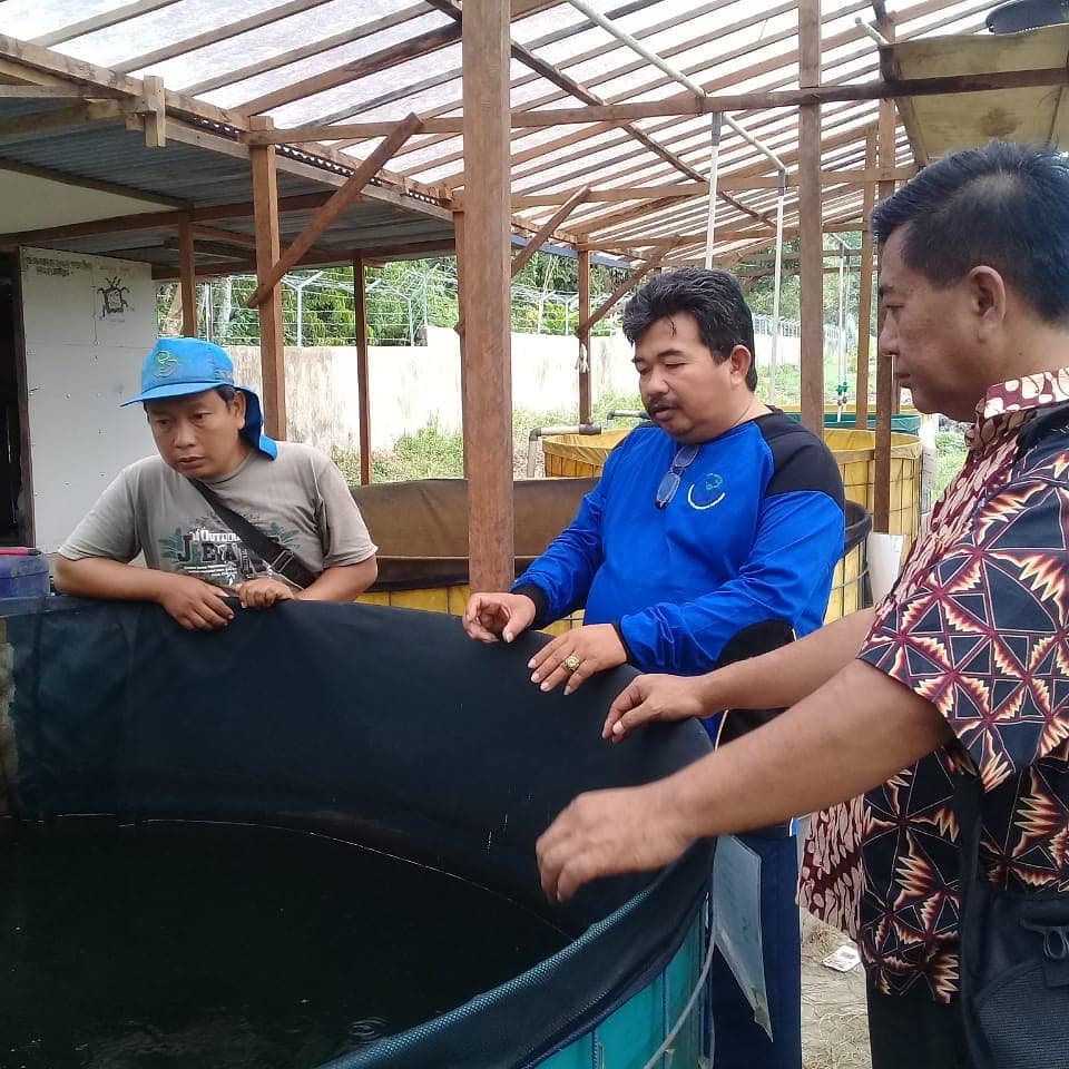 DJPB_SEIGELAM's tweet photo. Kunjungan kepala BNN provinsi jambi ke BPBAT Sungai gelam jambi dalam rangka silaturahmi dan konsultasi teknis budidaya lele sistem Bioflok.diterima langsung oleh Kepala Balai. @ BPBAT Jambi.#kerjakitaprestasibangsa.
@kkpgoid
@susipudjiastuti 
@BudidayaKKP 
@s_soebjakto https://t.co/LnbwiMqepe