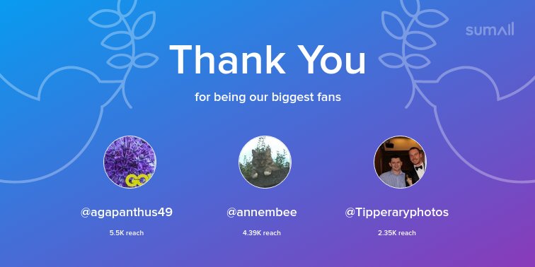 LisaKellyIRT's tweet photo. Our biggest fans this week: @agapanthus49, @annembee, @Tipperaryphotos. Thank you! via https://t.co/lC2qkNrv7o https://t.co/1k8w2Q63PW