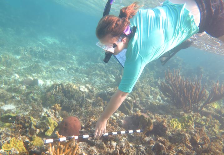 online 101 Ways to Build a Successful Network Marketing Business