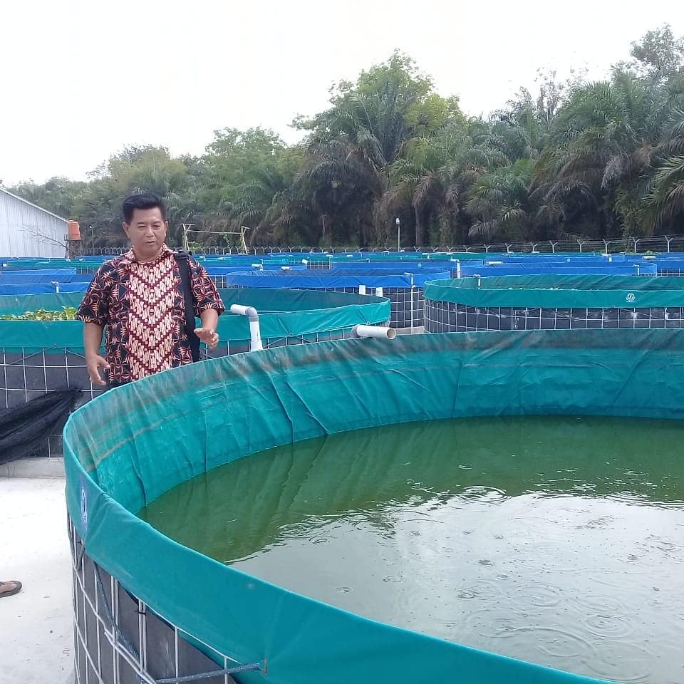 DJPB_SEIGELAM's tweet photo. Kunjungan kepala BNN provinsi jambi ke BPBAT Sungai gelam jambi dalam rangka silaturahmi dan konsultasi teknis budidaya lele sistem Bioflok.diterima langsung oleh Kepala Balai. @ BPBAT Jambi.#kerjakitaprestasibangsa.
@kkpgoid
@susipudjiastuti 
@BudidayaKKP 
@s_soebjakto https://t.co/LnbwiMqepe
