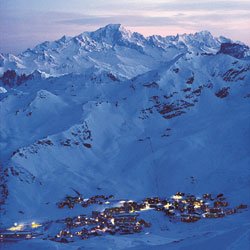 Ski Bespoke tweet media