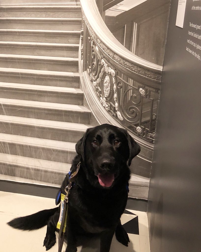 Obie (Buddy Dog) (@obi_buddydog) on Twitter photo Today I visited the Titanic museum in Southampton! I had a great time meeting lots of me people and seeing interesting things!! #Titanic #GuideDog <a href="/SeaCityMuseum/">SeaCity Museum</a> Today I visited the Titanic museum in Southampton! I had a great time meeting lots of me people and seeing interesting things!! #Titanic #GuideDog <a href="/SeaCityMuseum/">SeaCity Museum</a>