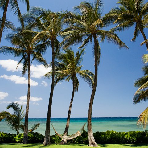 HiltonMiami's tweet photo. With world famous beaches, art, architecture and museums, and the continuation of Miami Spice - #LaborDayWeekend in #Miami is unlike any other time of the year! #FoundInMiami #VisitMiami #VisitFlorida #LaborDayInMiami https://t.co/EKcp3tpyJb https://t.co/MpJ27gYSF0