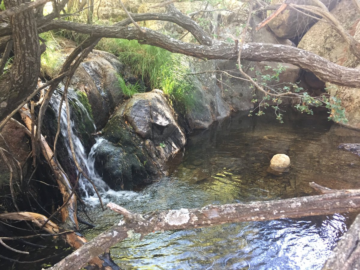 bisectriz1971's tweet image. #sendalachorreradelhornillo #excursionesconniños