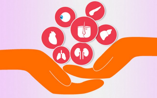 speakingtree's tweet photo. Pledging your organs is a sign that you are evolving psychologically, transcending identification and obsession with the body.
#pledgeorgans
@imagocentreself
https://t.co/HHKsutqKuW https://t.co/D8lSlw600b