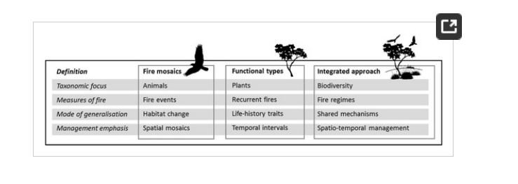 read learning about education an unfinished curriculum