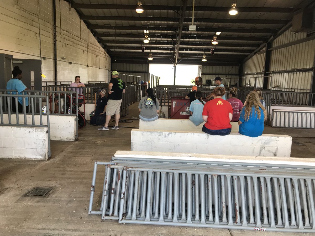 hempelscience's tweet photo. Barn clean-up!! Come out to the open barn night tomorrow at 6:30 to learn all about the animal projects FFA has to offer!! #NorthForneyFFA #ForneyFamily @northforneyinfo https://t.co/pMJ7VYHK4c