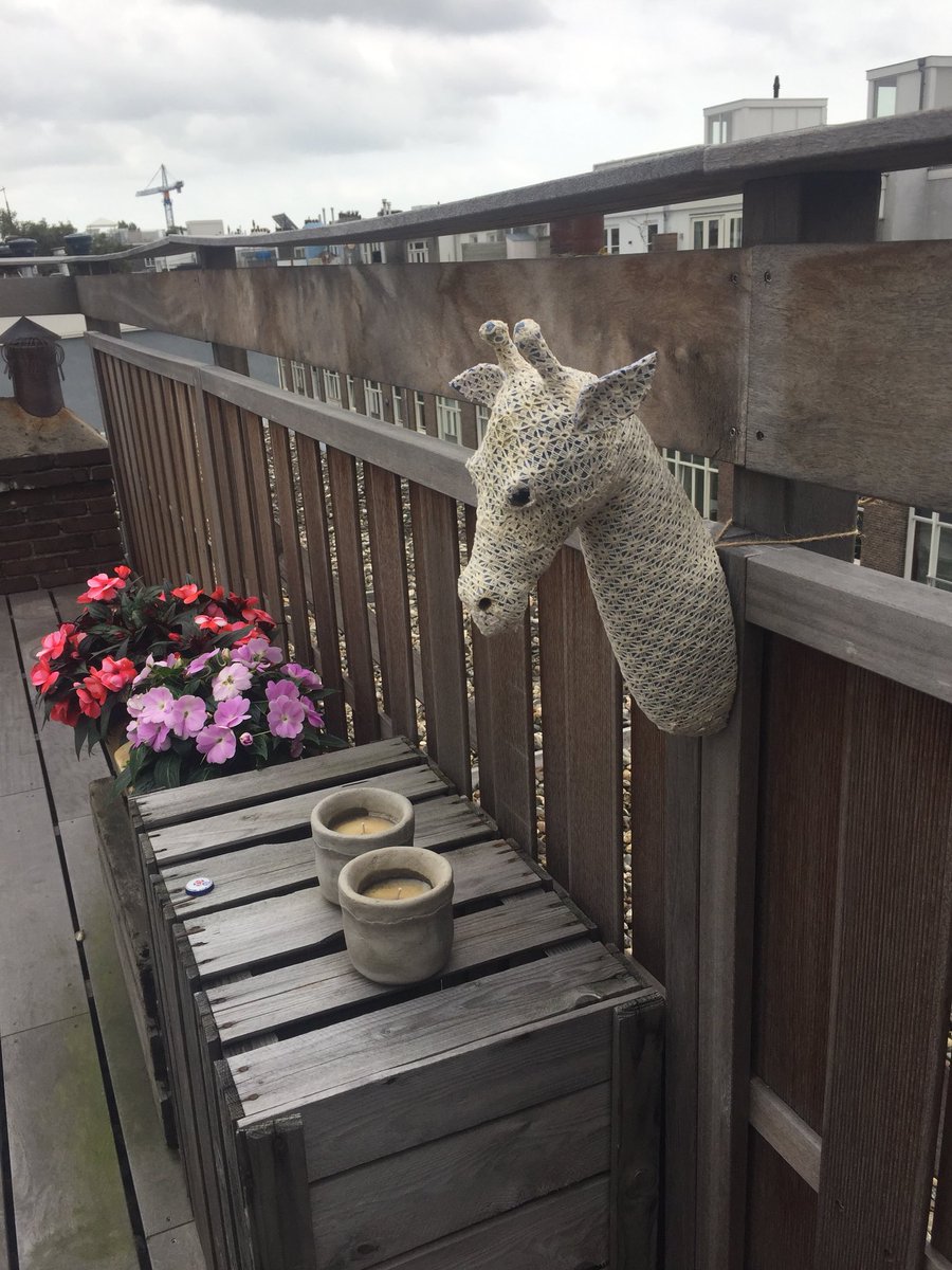 Carien Bartels tweet media