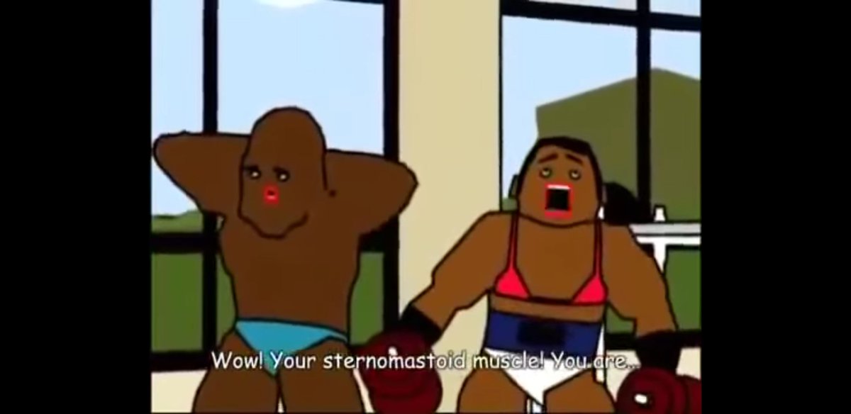 ブラじゃないよ大胸筋矯正サポーターだよ Twitter Search