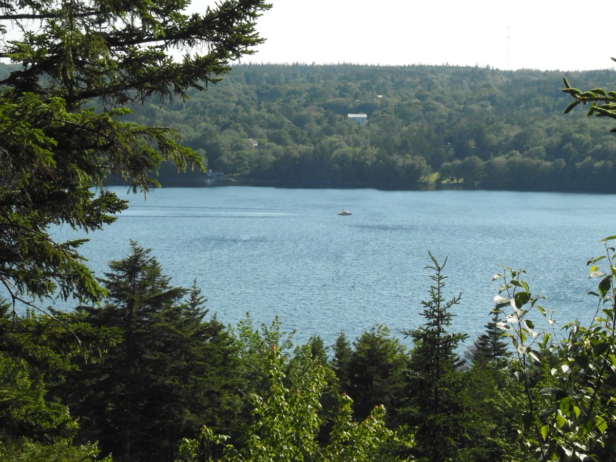 SevenLakesNS's tweet photo. The Grandviews at Porters Lake!  Stunning views of Porters Lake and secluded water frontage.  Only six lots available, call to book your tour today. 902 827-2005 #lakelife #retreat #summer2018 https://t.co/g8fUGvSXHR