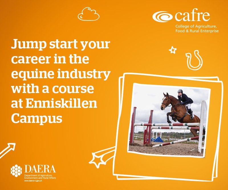 Are you interested in a career with horses? There are still limited spaces available through clearing on our FdSc and BSc Equine Management degree programmes. Tag anyone who would be interested or contact us on 02866344642 (ROI 0482866344642)