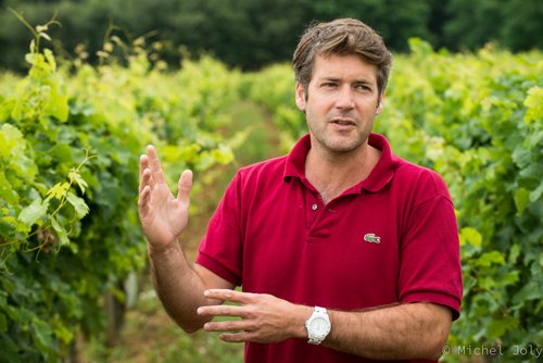Boston-area wine lovers: Federal Wine &amp; Spirits is hosting Loire rockstar Arnaud Lambert TONIGHT from 5 to 7pm!