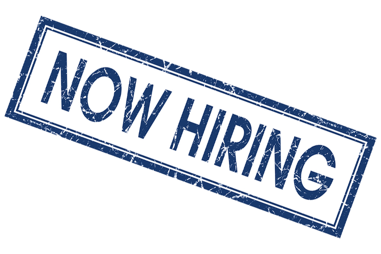 kzncareer's tweet photo. Independent Electoral Commission - KZN is looking for:

*13 Assistant Project Coordinators, job specifications 👉 https://t.co/GOCm5nQQe0 
*4 Municipal Outreach Coordinators, job specifications👉 https://t.co/GOCm5nQQe0

@IECSouthAfrica https://t.co/u1lQmWuP2h