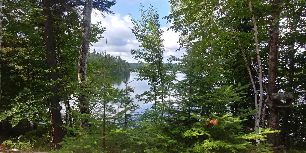 folsdog's tweet image. The coffee tastes better at the lake!
#onlyinminnesota #gunflinttrail