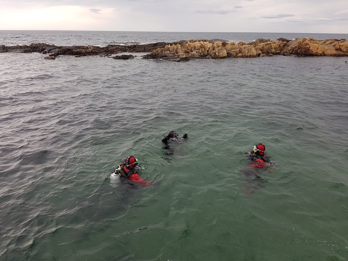 7SCOTS's tweet photo. Skills are developing for @7SCOTSJock @The_SCOTS on the @BSACdivers #OceanDiver course preparing to go on Expedition to #Malta 1st open water dives in Findochty on the #MorayCoast today, Lovely wee place! https://t.co/hNlLEXulaH