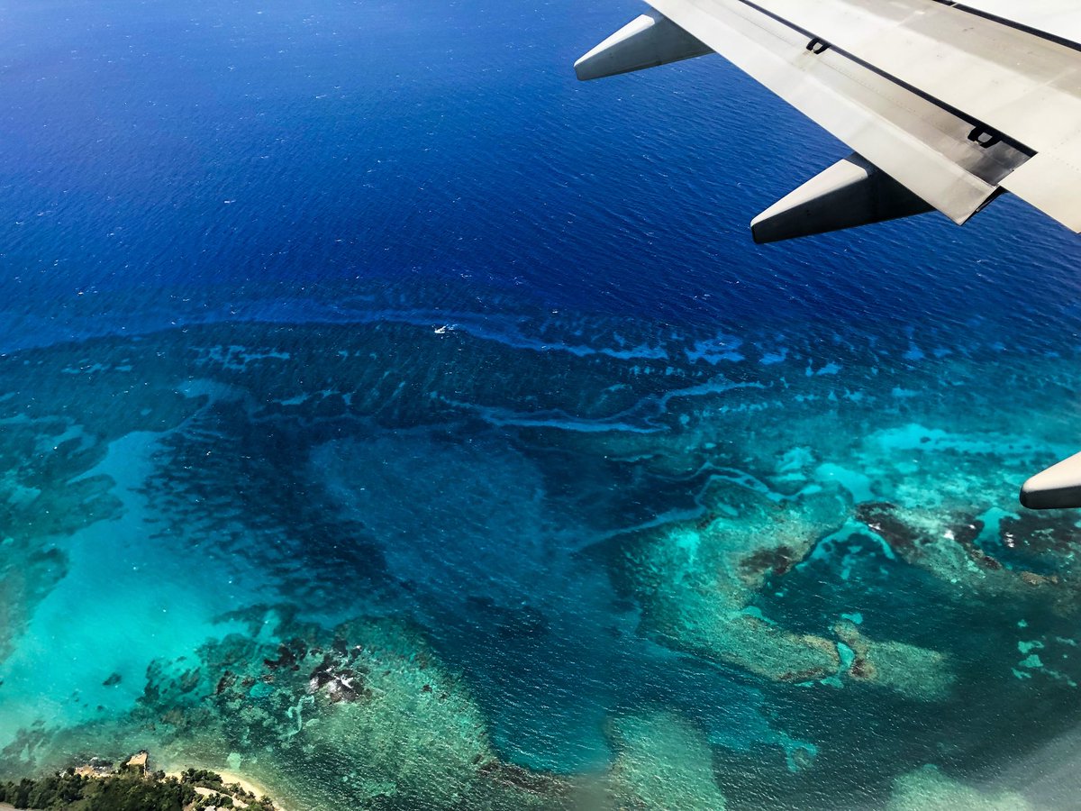 ZacCarelock's tweet photo. Jamaica is a vibe 😍 https://t.co/bivyGh9WFa