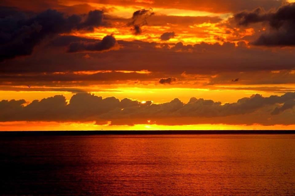 BethFratesMD's tweet image. When we wear orange-colored glasses, everything looks orange. 
Select your glasses carefully. We often see what we want to see...

Photo courtesy of Scott Hefti @Havenlust 
#nature #photography #Mindfulness #MindBody