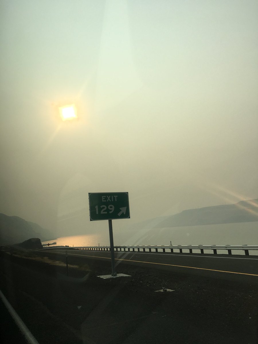 maybeetrinityy's tweet image. 