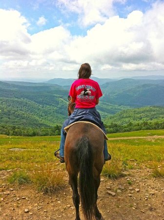 SenatorNation's tweet photo. At Cheat Mountain Stables, scenic mountain horse rides are closely located for #SenatorNation to experience! #WhyWV https://t.co/2lmxvhxFZG