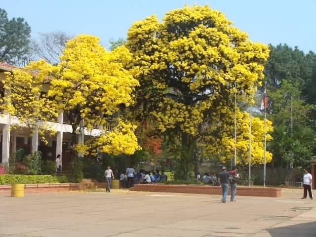 deportesCTN's tweet photo. "3 años intentando escapar. Toda una vida queriendo volver"

El orgullo de ser alumno del Colegio Técnico Nacional, sólo es superado por el honor de ser egresado del glorioso #CTN https://t.co/9FFlQkprHp