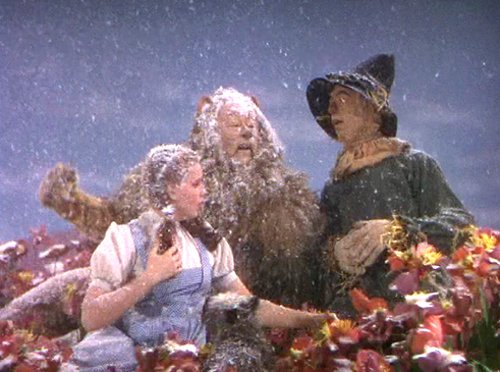MesoSymposium's tweet image. Today is the 79th anniversary of the"The Wizard of Oz" premiere.  Did you know that #asbestos was used as fake snow in the film? Watch PMC ED Clare Cameron discuss this in her "Hollywood &amp;amp; #Mesothelioma"  presentation from PMC's 2015 Symposium on Meso :  ow.ly/6RO030lqep3