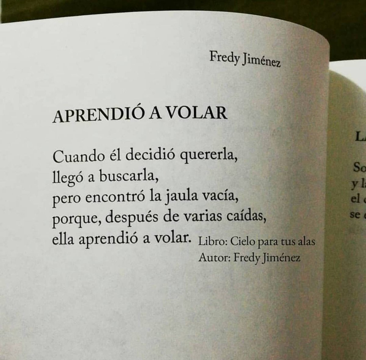 Joya por ejemplo sistema frases sobre volar Padre cooperar franja