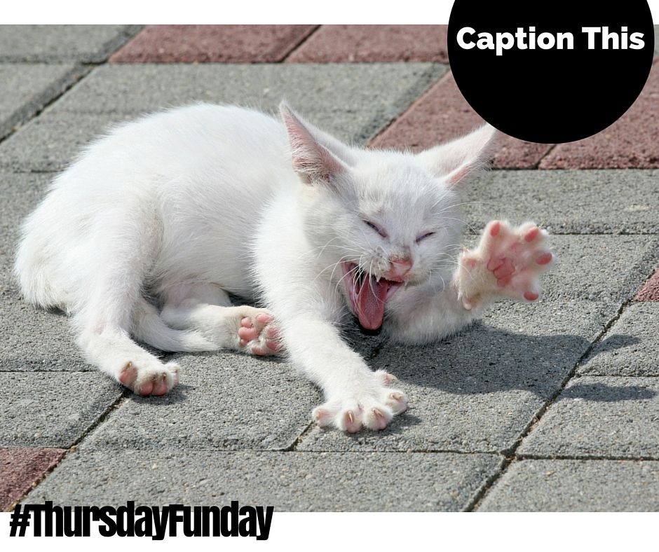 can you caption this? #thursdayfunday