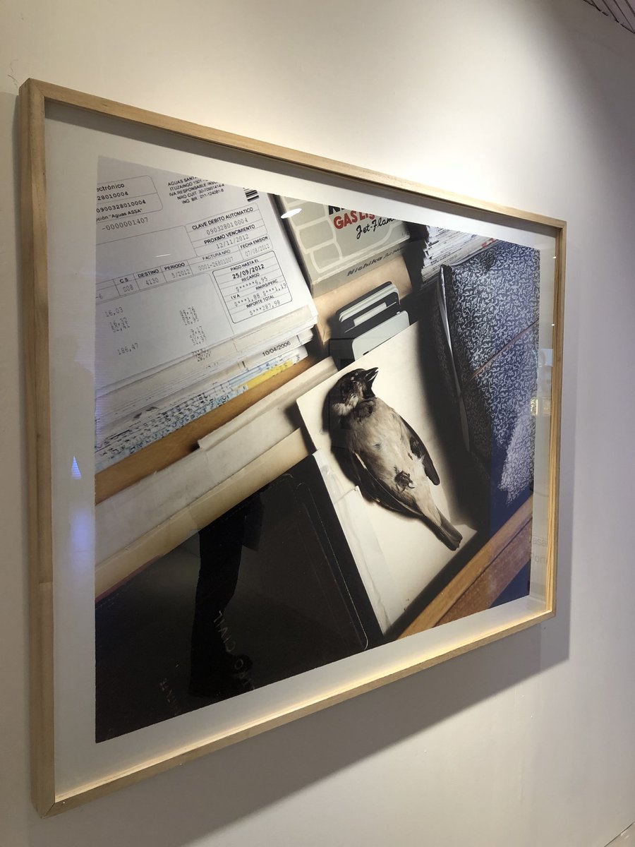 IdeasLN's tweet image. Ahora: inaugura #PopUpGallery de @baphoto_oficial en @PatioBullrich #arte #fotografia #agenda @lncultura lanacion.com.ar/2162641