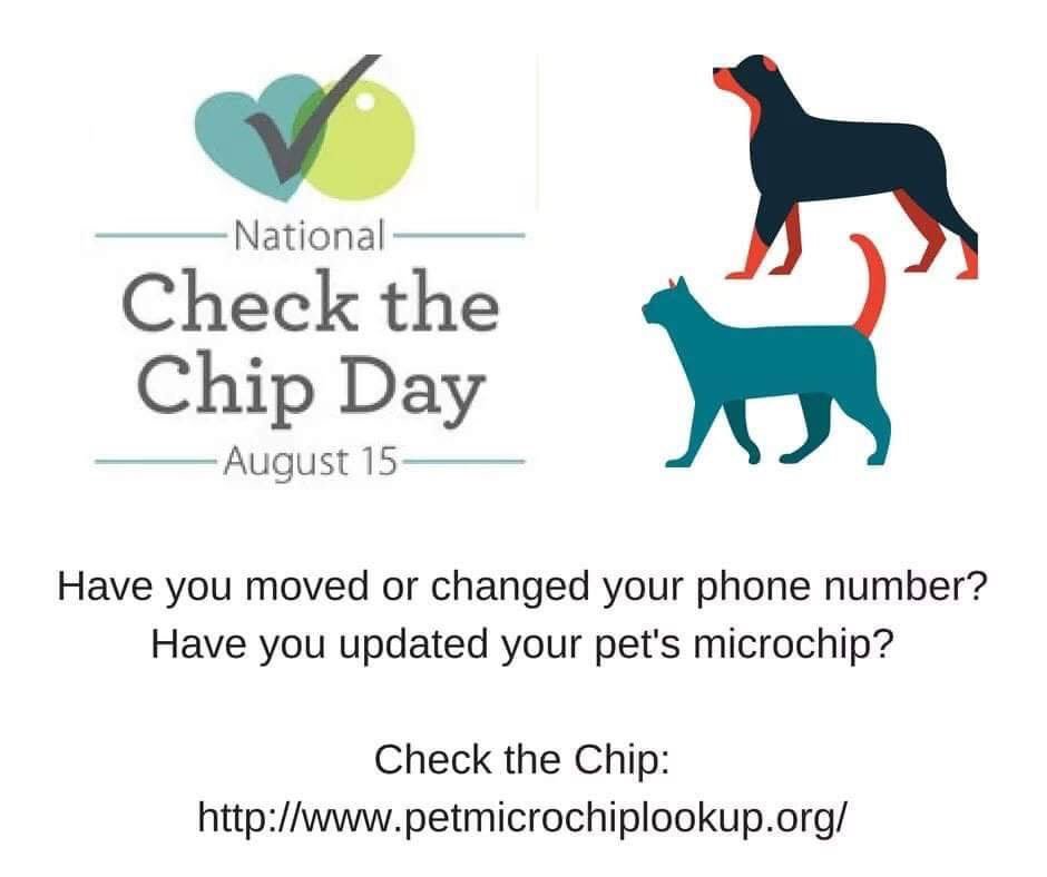 neighborpetscle's tweet photo. It's easy &amp; critical to check your pets microchip information! To check your chip enter your pets chip number at: https://t.co/9yUFrFcW30. Register your chip for free at https://t.co/Z2UdRZtOHx 
Don’t know the chip number a shelter or vet can scan your pet for free!
#CheckTheChip https://t.co/Wyq3pp0G5w