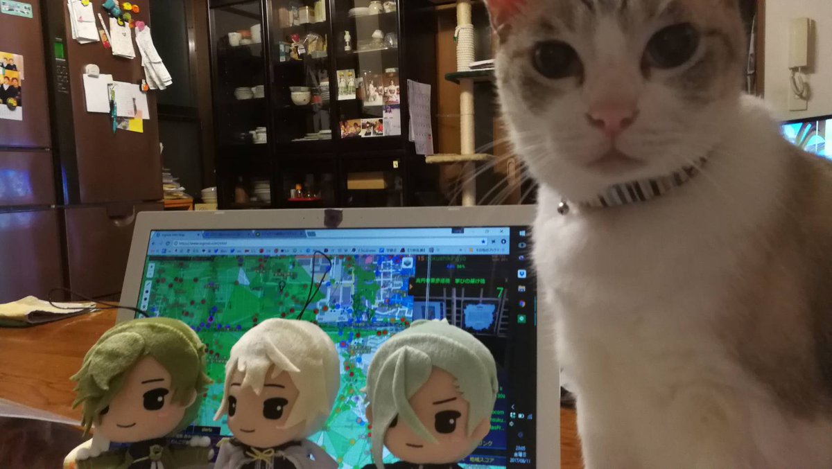 ぽんしろ tweet media