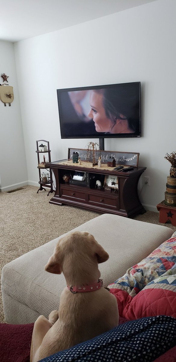 LJeffries1118's tweet photo. Sophia has not taken her eyes off of this! #ThiIsIt #IloveIt #MySmartGirl @ScottyMcCreery @Yoo_GabaGaba @ashlassiter2 @JudyMacGarner @MikeMGarner https://t.co/LE6ePMIqce