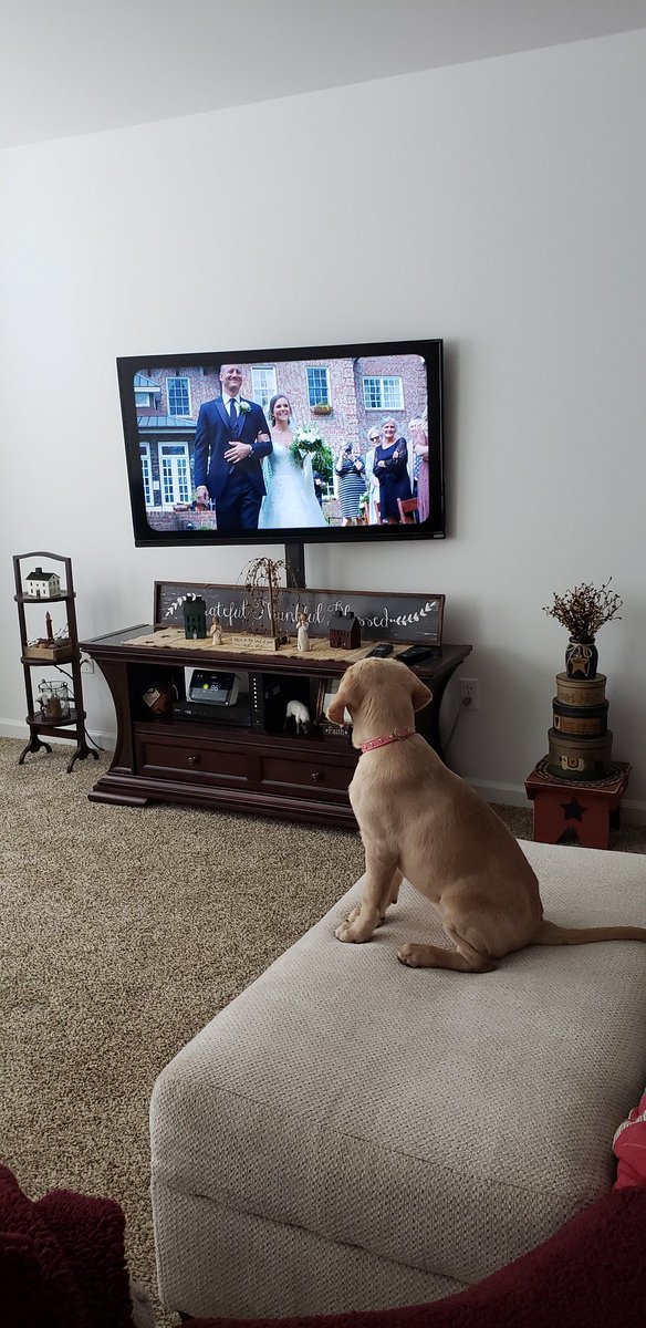 LJeffries1118's tweet photo. Sophia has not taken her eyes off of this! #ThiIsIt #IloveIt #MySmartGirl @ScottyMcCreery @Yoo_GabaGaba @ashlassiter2 @JudyMacGarner @MikeMGarner https://t.co/LE6ePMIqce