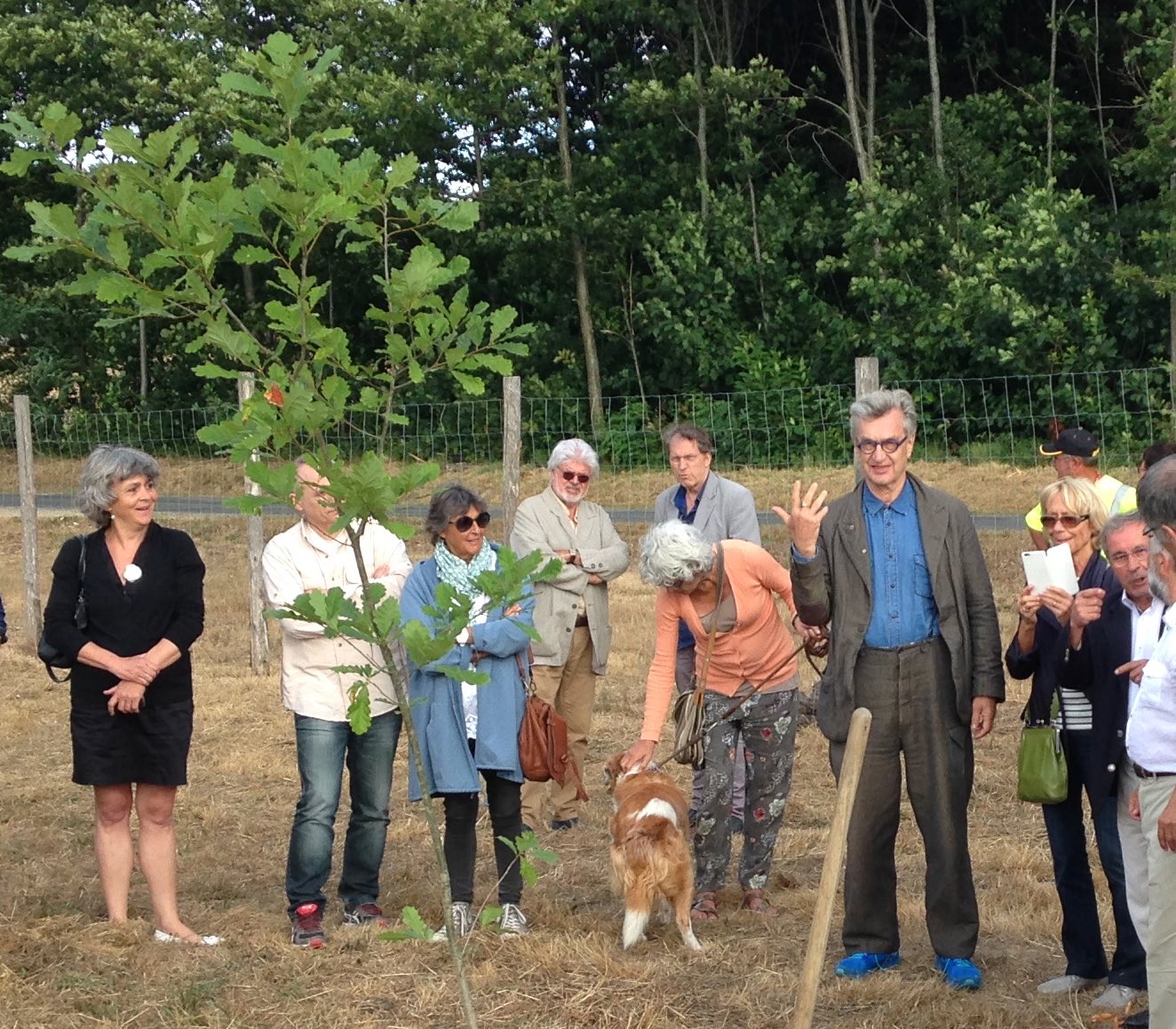 Arboretum, Saint-Yrieix-la-Perche, France, July 2015 Belated Happy Birthday Wim Wenders 14 August 