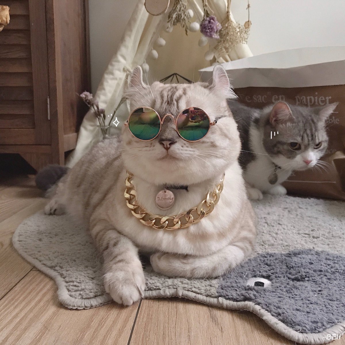 นุ้บนิ้บ ო̤̫ tweet media