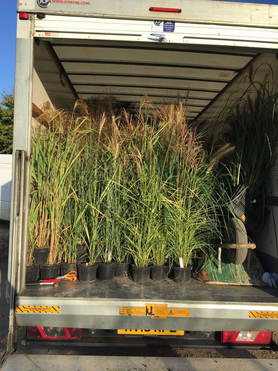 All loaded up ready for <a href="/RHS_Rosemoor/">RHS Garden Rosemoor</a> in the morning.