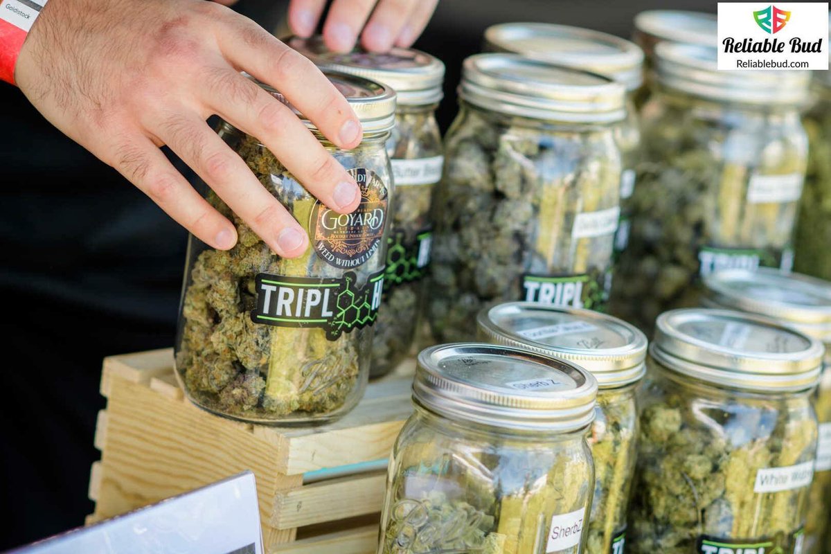 ReliableBud's tweet photo. Whoβs ready for some more @triplhex this Saturday!? πΏπ₯
Link to tickets π https://t.co/nEIWky4245
#reliablebud #dank #cannabis https://t.co/W8GmLOhDhs