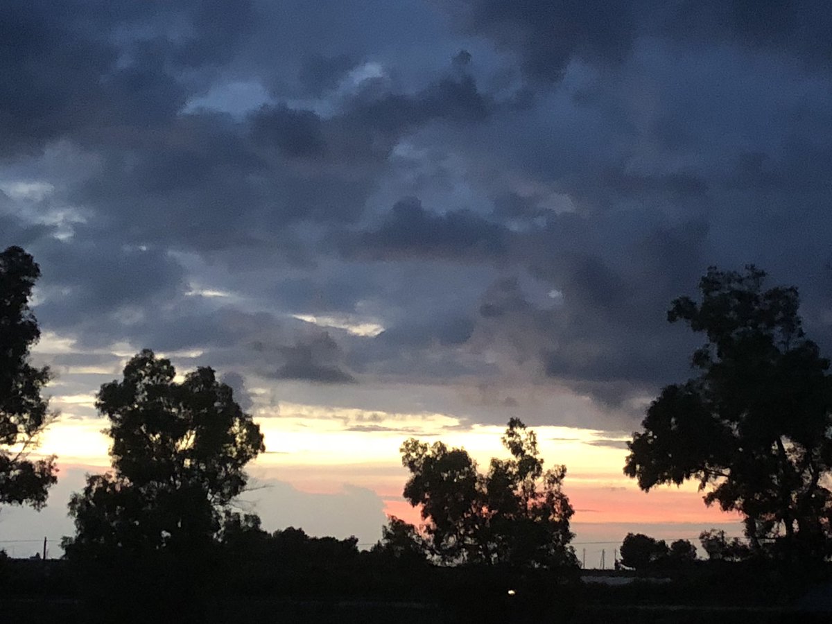 FROST G☹️D (@larsbrrr) on Twitter photo 