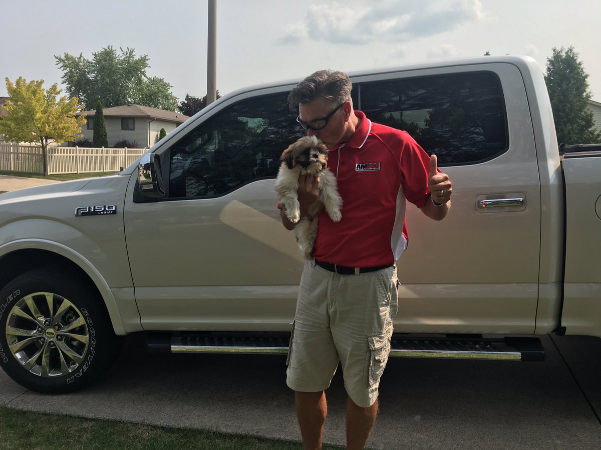 Michelle_B_17's tweet photo. Meet Auston! Had the best gig today helping @Beller800 shoot a promo for @lallyford Just look at that little face :) https://t.co/VzA5KCgG9e