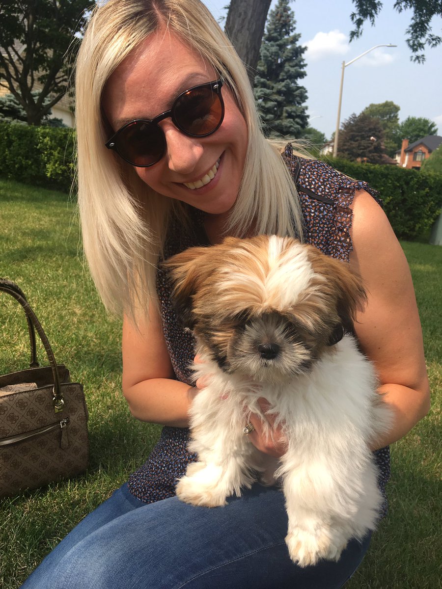 Michelle_B_17's tweet photo. Meet Auston! Had the best gig today helping @Beller800 shoot a promo for @lallyford Just look at that little face :) https://t.co/VzA5KCgG9e