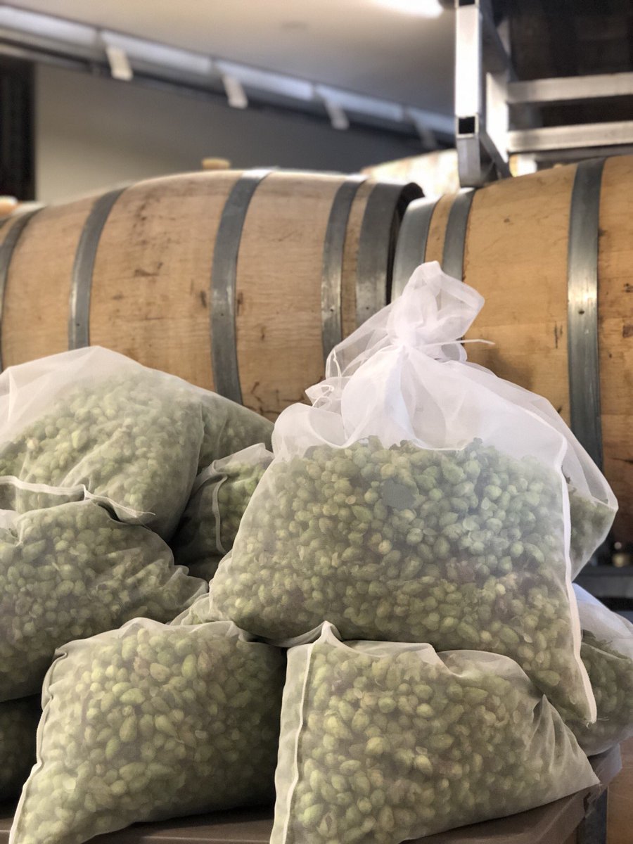 Spend the morning at <a href="/TavistockHopCo/">The Tavistock Hop Co</a> to help harvest centennial hops for this years Local Hoption Wet Hop Beer! Look for this Brew in The Beer Shed end of August!